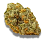 Medizinische Cannabisblüten